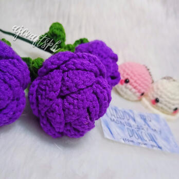 Purple Rose, Pochi & Ghost